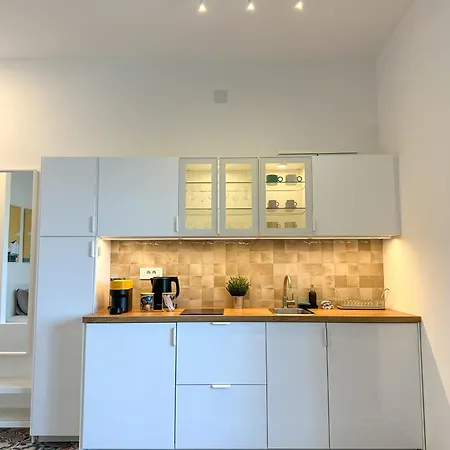 5a - Experience True Belgrade! Daire *